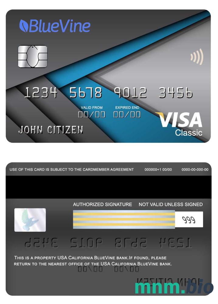 USA California BlueVine bank visa klasyczny karta przykład w formacie PSD